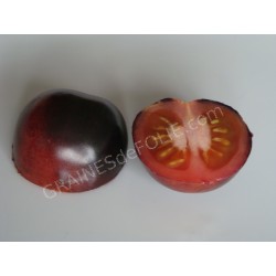 Tomate « INDIGO ROSE » à maturité