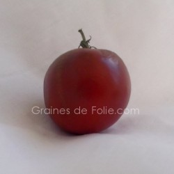 Tomate PRINCE NOIR