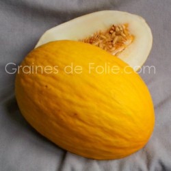 Melon Jaune Or Canari 500 Graines Seeds 