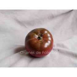 Tomate NOIRE de TULA