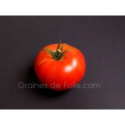 Tomate LANGUEDOCIENNE