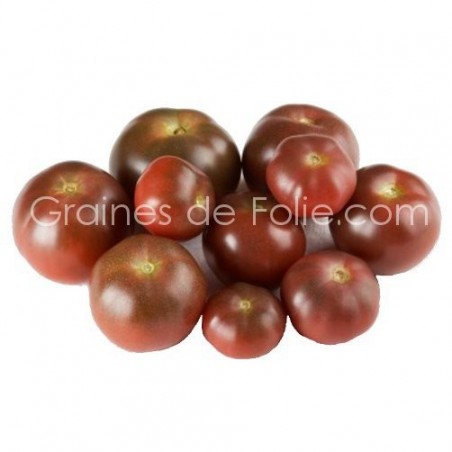 Tomate BROWN BERRY