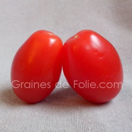 Tomate PRUNE ROUGE