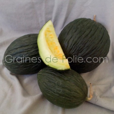 6 graines Melon Vert