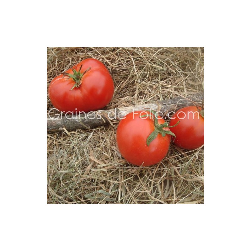 Rouge tomate vs rouge casaque what's the difference?