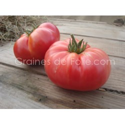 Tomate BURPEE DELICIOUS