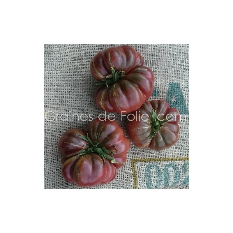 Variétés De Tomates Anciennes : Ma Liste ⋆ Au Refuge DES GRAINES