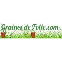 Potiron GALEUX d'EYSINES semence graines citrouille