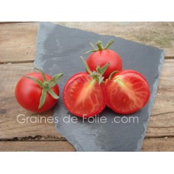 Tomate MATINA BIO semences anciennes graines certifiée agriculture biologique