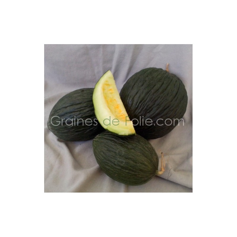 20 Graines De Melon Vert Olive D'Hiver - Permaculture, Facile à Cultiver, Comestible, Pour Climat Méditerranéen