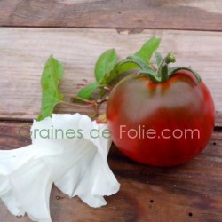 Tomate noire NYAGOUS graines semences