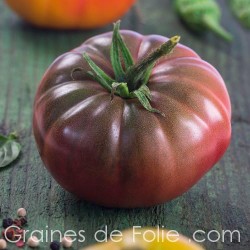 Tomate PAUL ROBESON BIO graines semences anciennes