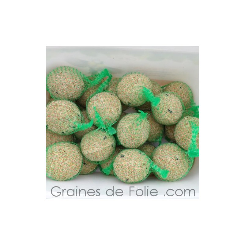 Erdtmanns Seau 50 Boules De Graisse Pour Oiseaux – Aliment Riche En Énergie, Idéal Jardin Toute L'Année, Filet Accroche Facile, Qualité 1A