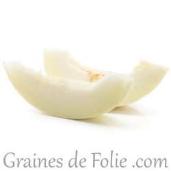 Melon blanc BRANCO do RIBATEJO graines semences semailles