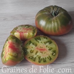 Bio Tomate CAPTAIN LUCKY graines semences anciennes