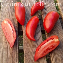 Bio Tomate JERSEY DEVIL graines semences