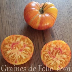 Bio Tomate COPIA graines semences anciennes certifiées AB