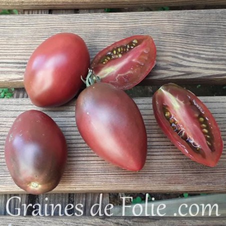 Bio Tomate PURPLE RUSSIAN graines semences anciennes