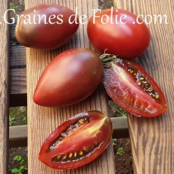 Bio Tomate PURPLE RUSSIAN graines semences anciennes