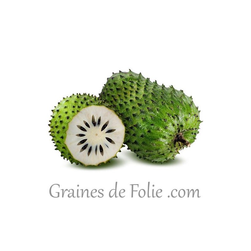 Corossolier Annona Muricata Graines