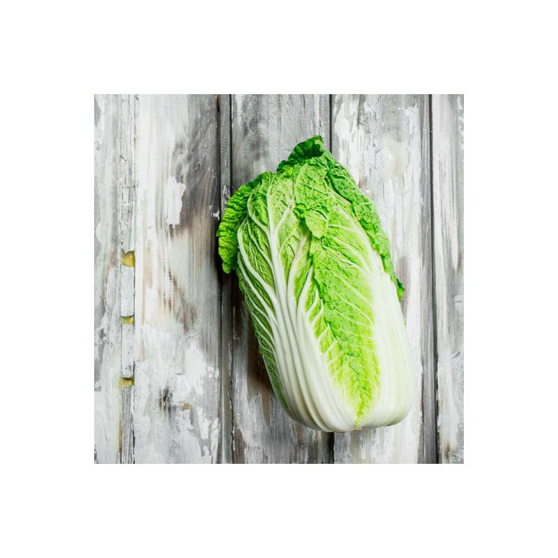 Graines Chou De Chine GRANAAT - Légume Asiatique Populaire - Pour Wok, Salade, Vapeur - Semis Juin à Août