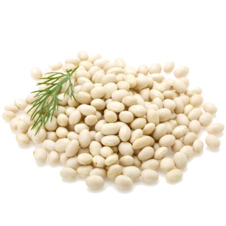haricot sec ou frais COCO blanc graines semences jardinage