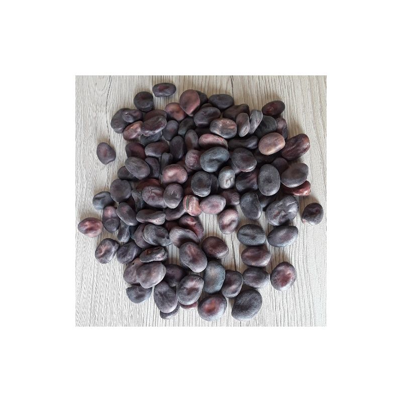 Nos graines feve fève extra précoce a grano violetto - La Bonne Graine