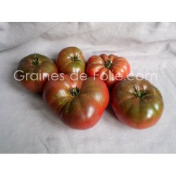 Tomate "black from tula" variété russe à la saveur très douce graines semences certifiée AB