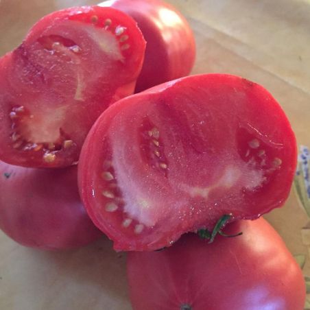 Tomate NAPOLI ISCHIA semences anciennes paysannes certifiée Bio
