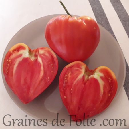 Tomate COEUR DE BOEUF CUOR DI BUE graines semences anciennes à pollinisation libre