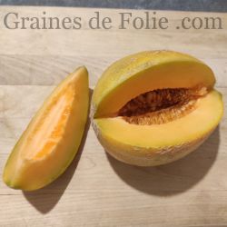 BIO Melon SWEET GRANITE GRAINES de FOLIE semences anciennes certifiées AB