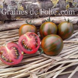 Bio Tomate BLACK ZEBRA COCKTAIL graines potagères non traitées