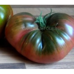 « CHEROKEE PURPLE » Tomate violette