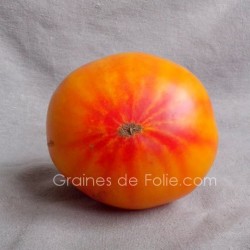 Tomate HILLBILLY