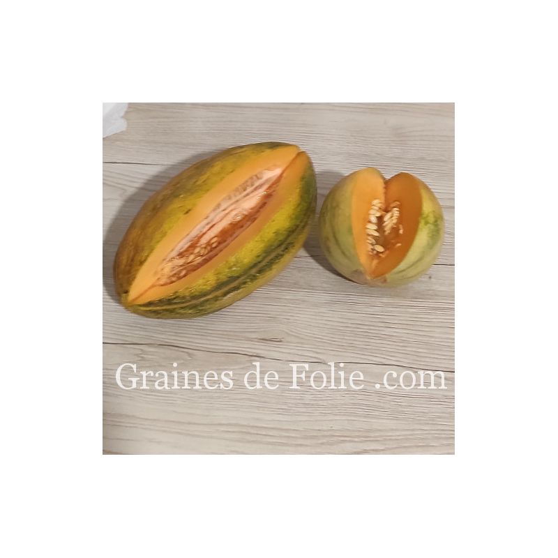 Graines Bio de Melon de Bourgogne Mix de variétés