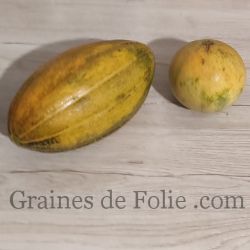 MELON DE BOURGOGNE MIX d'anciennes variétés graines semences paysannes certifiées BIO
