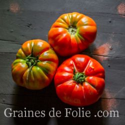 TOMATE MUCHAMIEL variété ancienne Espagnole semences paysannes AB produite en France